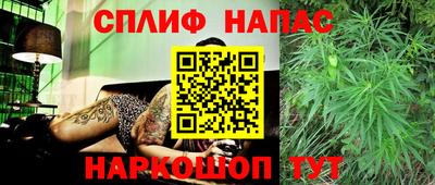 тгк Краснознаменск