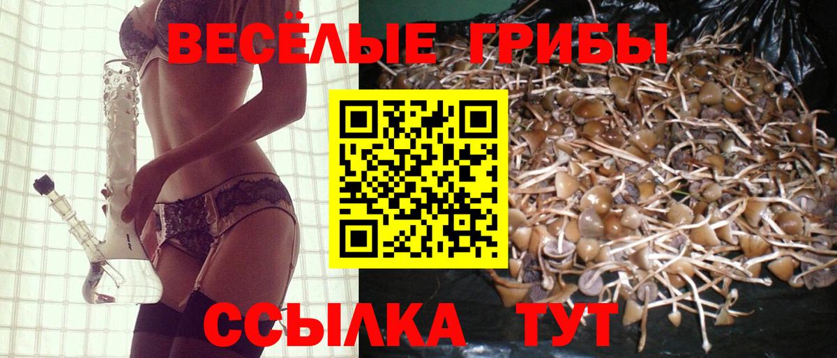 Галлюциногенные грибы Magic Shrooms Дедовск